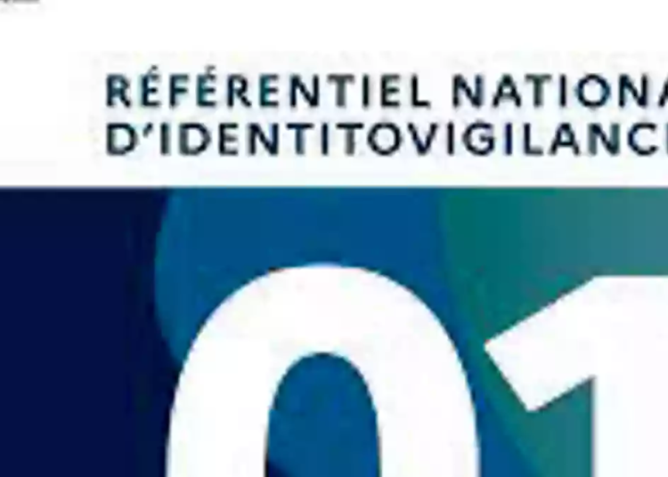 RNIV 1