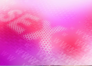 sites pornographique cnil