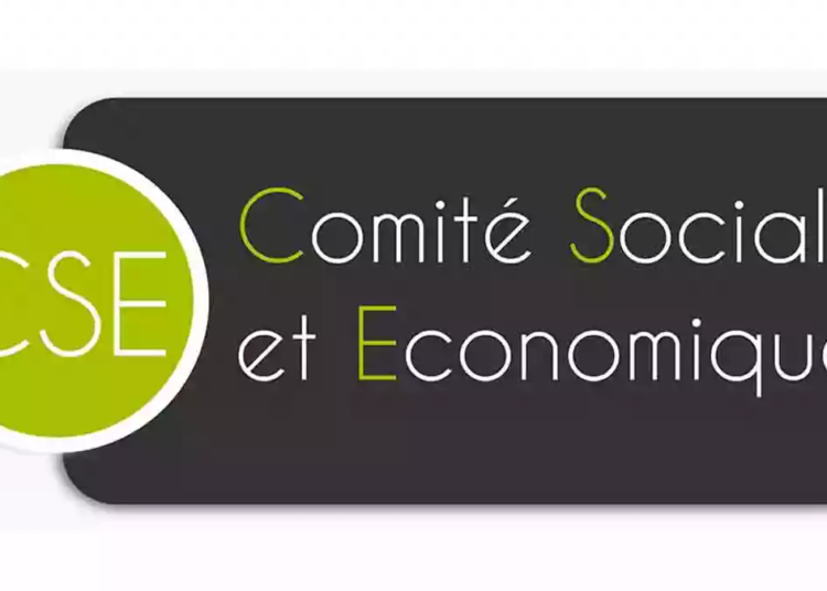 RGPD CSE CNIL