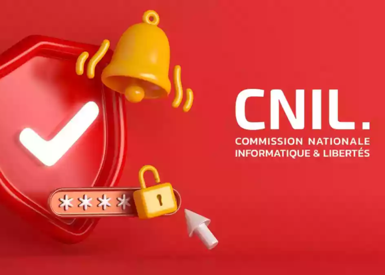 contrôles sur pièces effectués par la CNIL en 2022