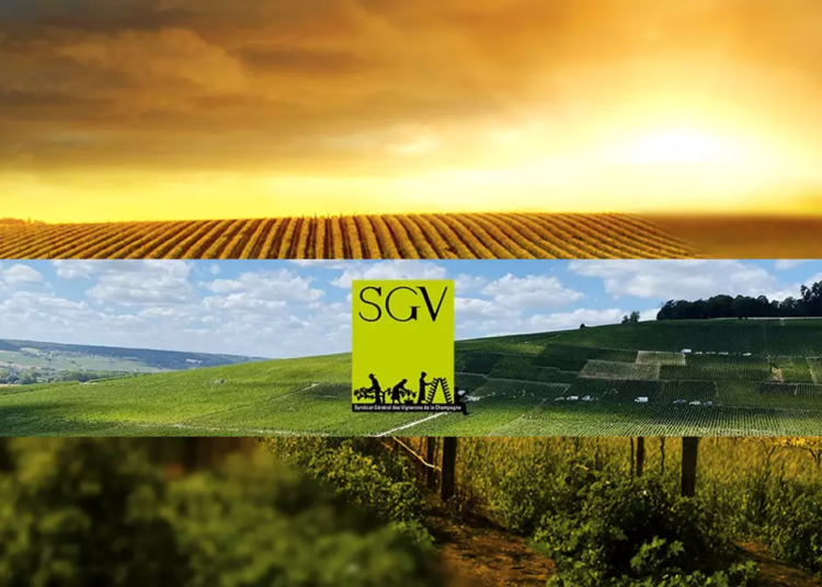 Cybersécurité Syndicat Général des Vignerons de la Champagne